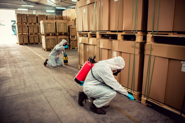 Best Best Pest Control Companies  in Pharr, TX