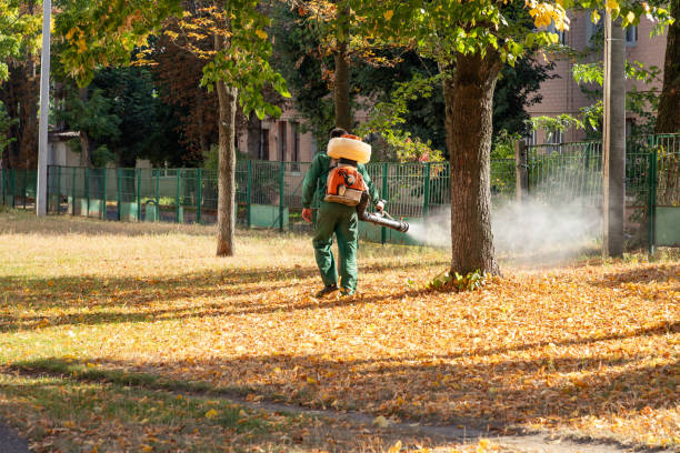 Best Bird Control  in Pharr, TX
