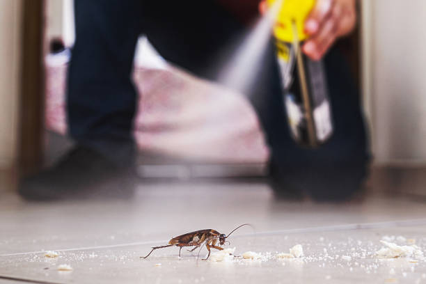 Best Best Pest Control Companies  in Pharr, TX
