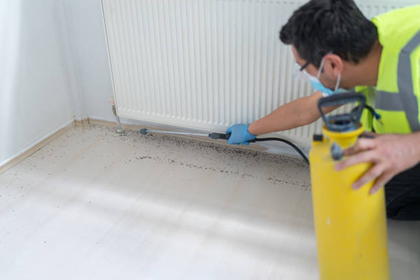 Best Affordable Pest Control Services  in Pharr, TX