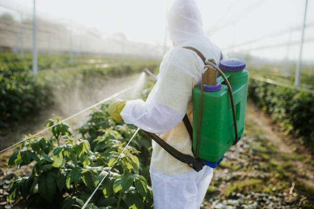 Best Residential Pest Control  in Pharr, TX